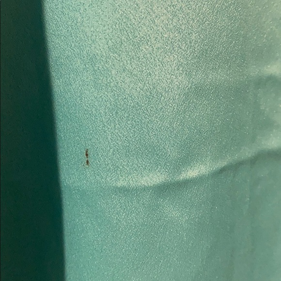 Teal Blouse - Picture 7 of 10